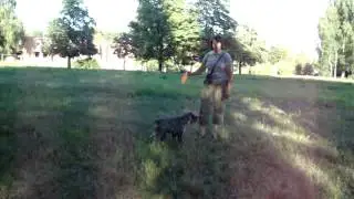 MOV00396