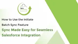 Initiate Batch Sync | Seamless Salesforce Integration with Sync Made Easy