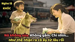 CHÚ CHÓ của CẬU BÉ NGHÈO cứ nhìn chằm chằm NỮ TỶ PHÚ - mảnh giấy rơi ra KHIẾN NỮ CEO BẬT KHÓC