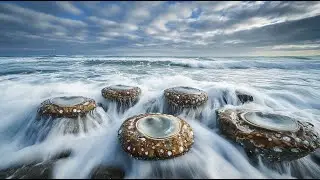 Raising And Harvesting Abalone - Processing Abalone At The Factory - Cooking Abalone
