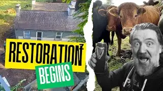 DIY Irish Cottage Renovation Project. Can I Restore This Irish Homestead? | Episode 1