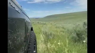Green pastures at cartercountrymeats.com