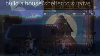Terraria shitpost
