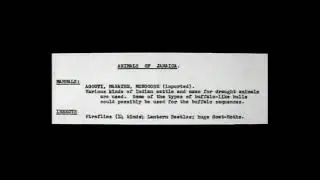 Disney's Swiss Family Robinson Location Scouting Reports
