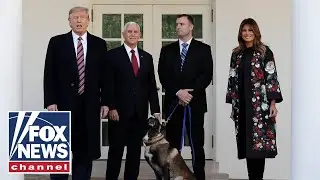 Hero dog injured in Baghdadi raid honored at White House