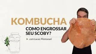 Como engrossar seu SCOBY?