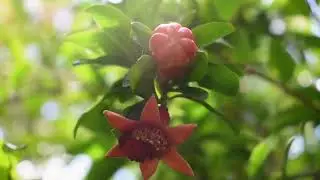 Meditation music for building trust