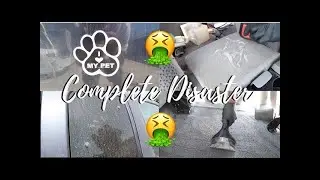 Complete DISASTER Ford F-150 Work Truck | | Carpet Shampoo | Pet Hair Removal | Kings Auto Detailing