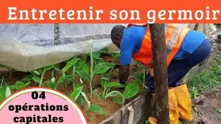 comment réussir l'entretien de son propagateur de PIF?