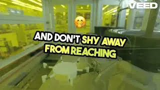 Maritime Job Search 2026: Get Your First Job! (Interview Tips, Resume & Exams) ! VEED
