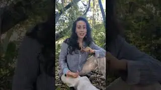 BITACORA DE TU CICLAR