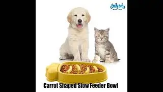 Emily pets Slow Feeder Bowl - Slow Feed your Dog