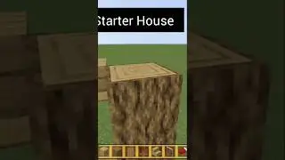 Day:34 How To Build Starter House in Minecraft #minecraftsurvivalseries100days