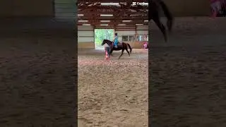 From my lesson tn!! #horse #equestrian #fypシ