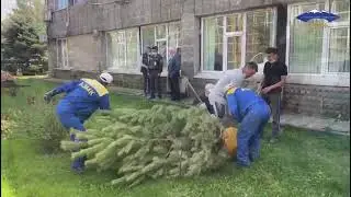 Работники АЗМК запустили эко-челлендж