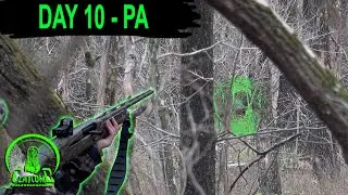Hunting early season MOUNTAIN BIRDS * Why you should NEVER QUIT EARLY 