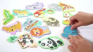 Magnetic Numbers & Letters