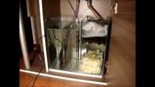 Filtro para aquário SUMP, tudo oque você precisa saber!!!