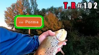 RIO PORMA (jornada de pesca a Spining y ninfa)