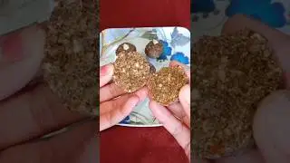 Flax Seed Laddu | Weight Loss & Hormonal Balance Laddu 💪#flaxseedladdu #alsiladdu #healthyrecipe