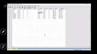 SPSS (Input Data) Tugas Biostatistik Angel Caroline & Saskia Ramadani