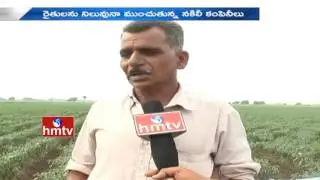Farmers Problems Due to Raids On Bio Fertilizers Over Fake Seeds Row | Guntur | HMTV