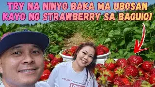 HANGANG TINGIN KA NALANG BA! TRY MO DIN MAG PULOT NG STRAWBERRY SA LA TRINIDAD BENGUET!