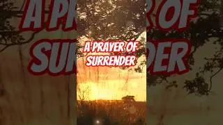 A Prayer of Surrender | Thy Will Be Done, Lord #faith #quotes #faithhabits