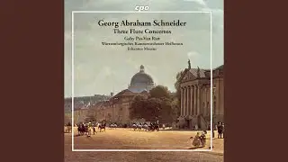 Flute Concerto in G Major, Op. 12: III. Rondo