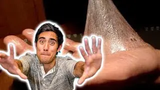 TOP magic tricks Compilation 2018 | Best Magic Tricks Vine Ever Show 2018