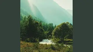 catching rays
