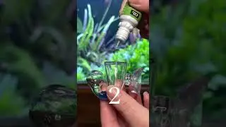 Seachem pH checker easy as 1&hellip;2&hellip;3!