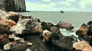 Les requins inconnus documentaire animaux sauvages complet en francais 2013