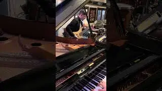 The Gianluca Occhipinti Trio @ The Rex - Dec 17, 2025 (set 2)
