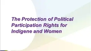 The Protection of Political Participation Rights for Indigene and Women