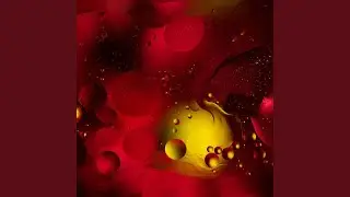 Relaxing Ambience for Always Morning