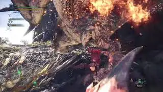 Monster Hunter: World, Dam Rathlos!