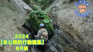 2024会津渓流FlyFishing【未公開釣行動画集】8月編