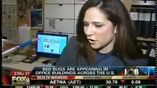 FOX BUSINESS NEWS INSIDE JOB - Busting Bed Bugs With Bell Environmental