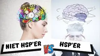 Het BREIN van een HSP&rsquo;er 🆚 niet HSP&rsquo;er 🤯