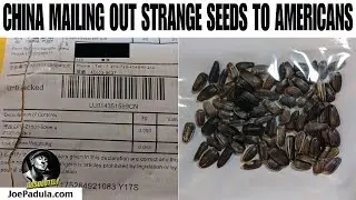 China Sending Americans Strange Seeds in the Mail. DO NOT PLANT THEM