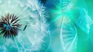 Subliminal silencioso para eliminar miedos y bloqueos | Access Consciousness