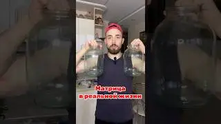 Матрица в реальной жизни