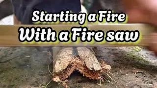 Wildernes fire saw