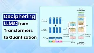 Deciphering LLMs: From Transformers to Quantization