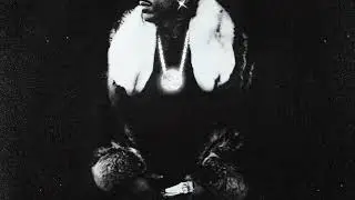 Max B - I Want The Smoke - Public Domain 7: The Purge