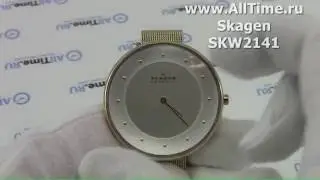 Обзор. Женские наручные часы Skagen SKW2141