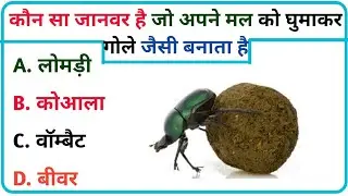 GK, IPS mindset questions, and GK Pepper-style spicy General Knowledge