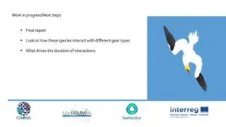 Session 1   Sea Bird and Seal Distribution mapping