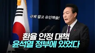 환율 안정 대책, 윤석열 정부에 있었다